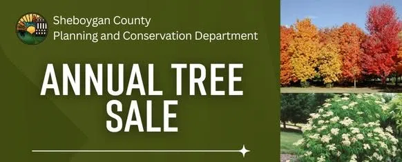 Two Days Remain for Sheboygan County's Annual Tree Sale