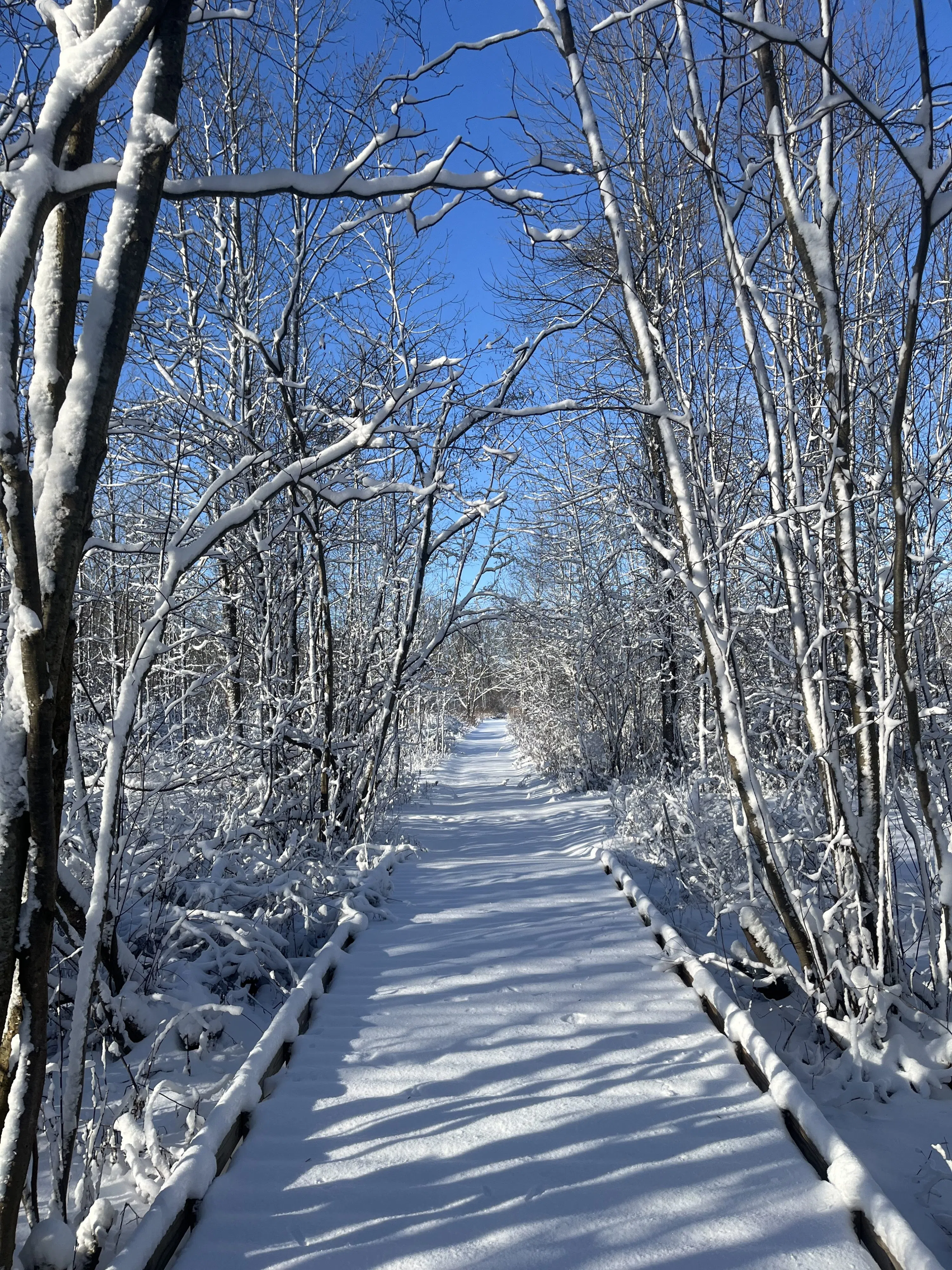 Ripples from the Dunes - Snow Covered Dunes