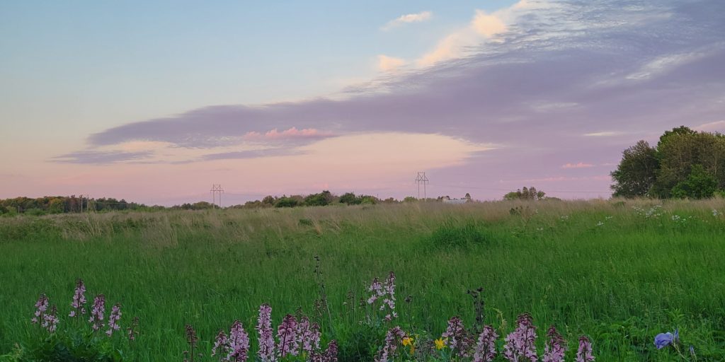 Ripples from the Dunes – Nature and Health