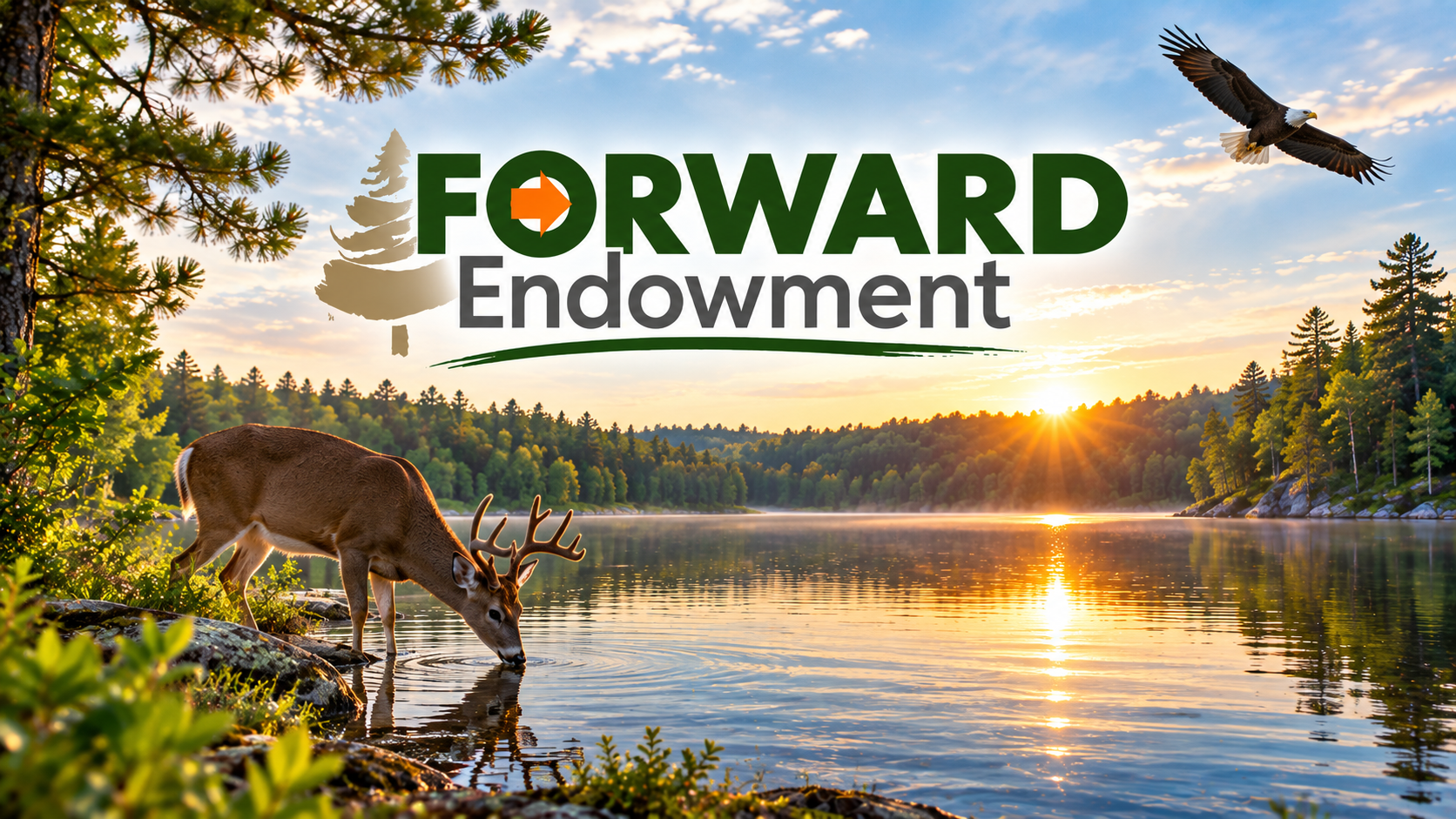 FORWARD Endowment Accepting Conservation Grant Applications