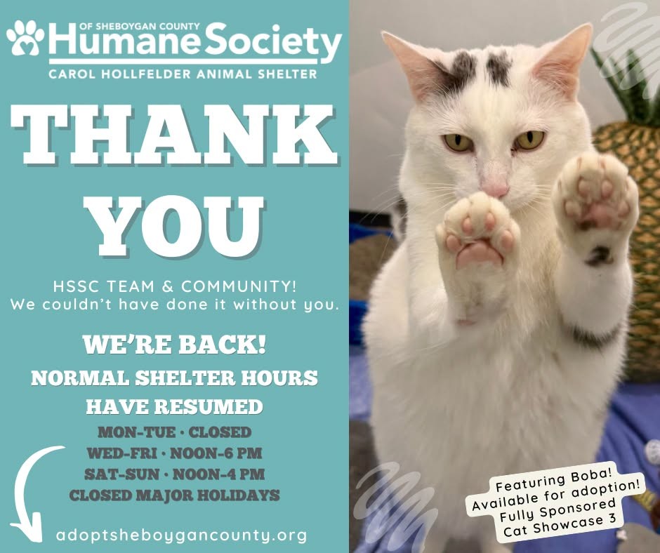 Humane Society of Sheboygan County Reopens After Feline Virus Outbreak