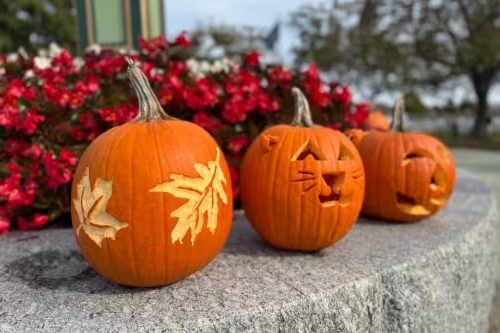 Help Make Manitowoc Festive at Pumpkin Palooza