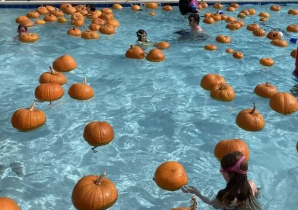 Pumpkins To Fill Manitowoc Two Rivers YMCA Pool