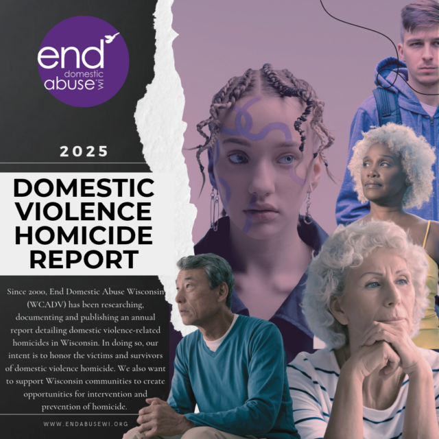 Sheboygan Police on Wisconsin Domestic Violence-Related Deaths: The Statistic are Alarming