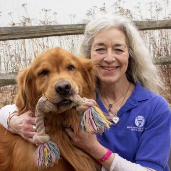 New Manitowoc Vet Clinic to Host Open House