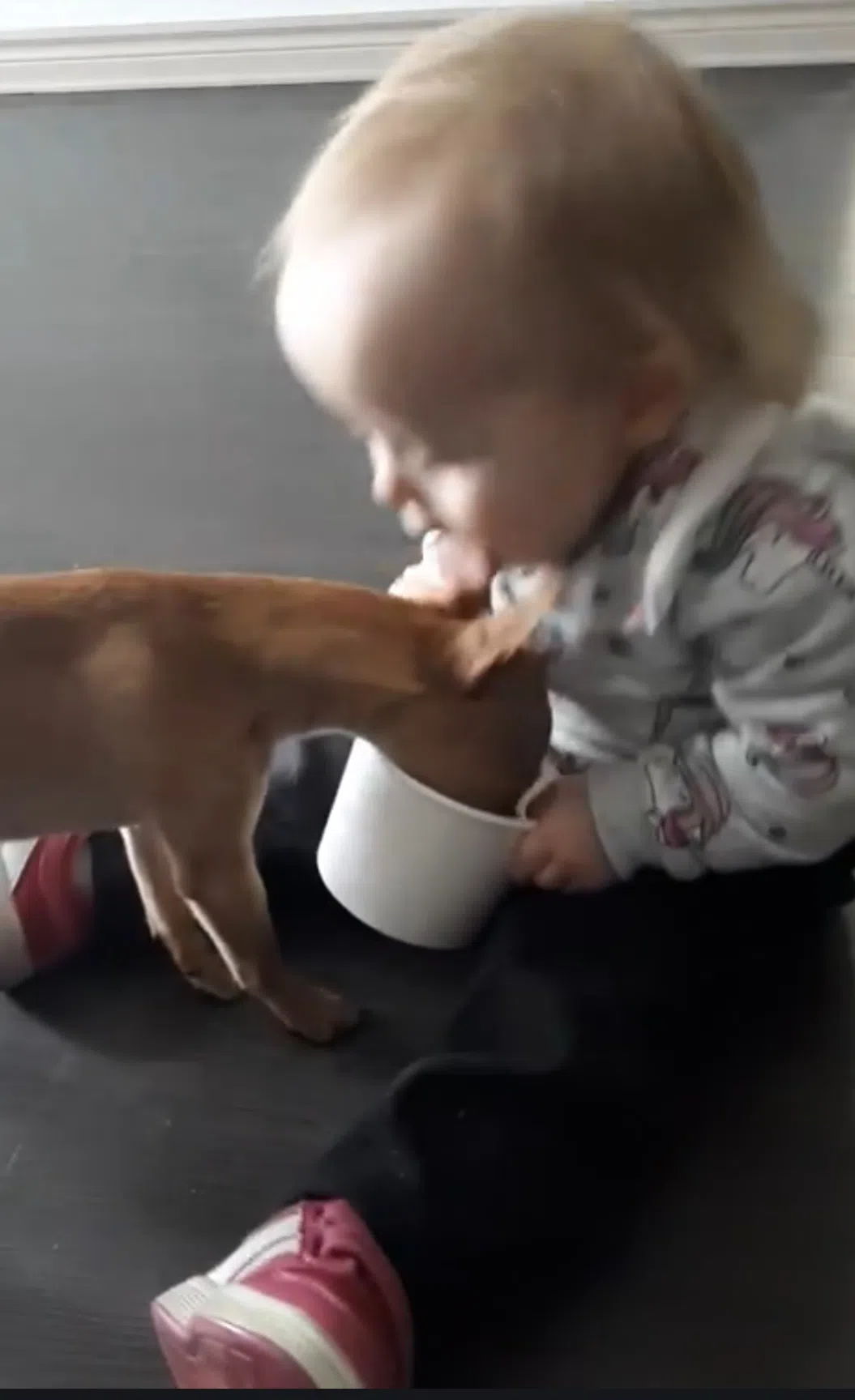 They Call It Puppy Love! (Click here to watch the video...yecchh!!)