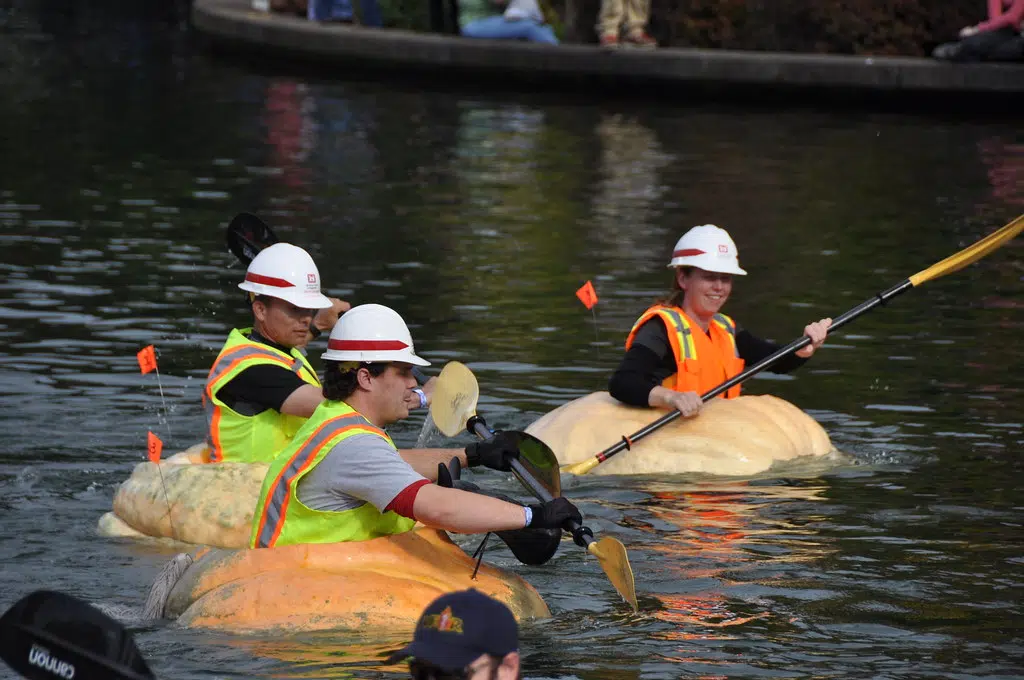 Missouri Man Rows A Giant Pumpkin Boat, Breaks A World Record.