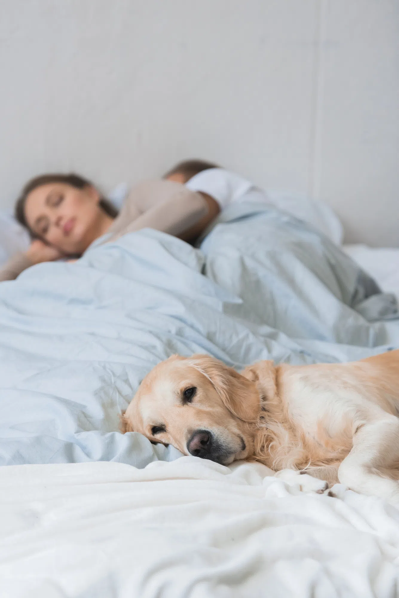 Some Women Prefer To Share The Bed With Partners of The Four Legged Kind