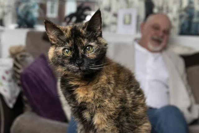 World's Oldest Cat Is 29