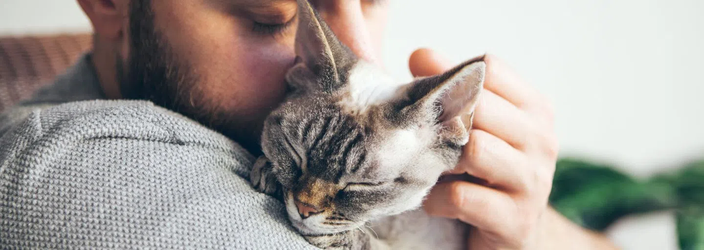 Top 8 Signs Your Cat Loves You