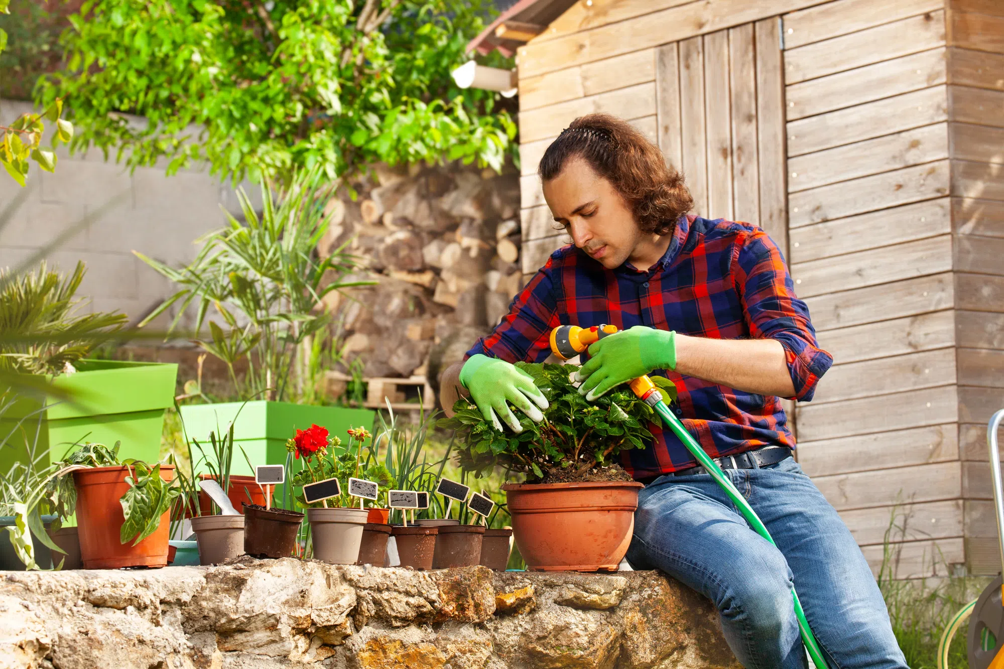 Top 10 Hobbies That Help You Live Longer