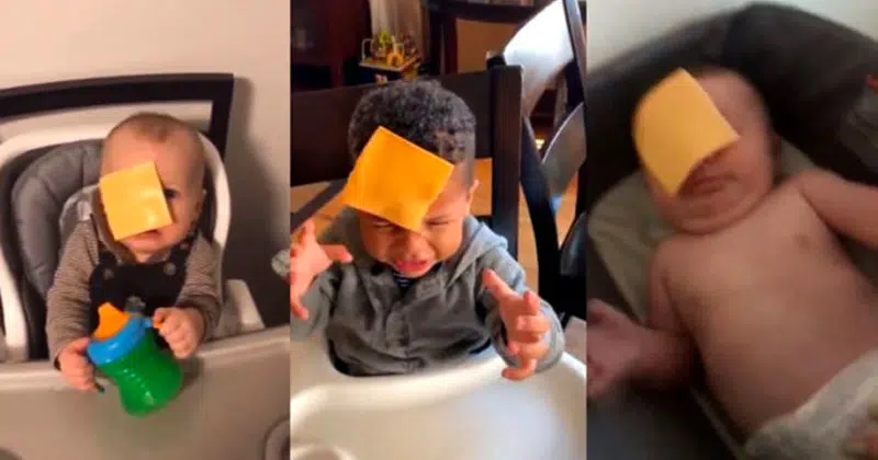 The "Cheesed Challenge" is Why Parents are Throwing Cheese at Their Kids!