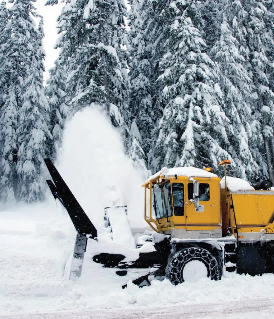The Public Got To Name 50 Snow Plows In Scotland And They're Hilarious