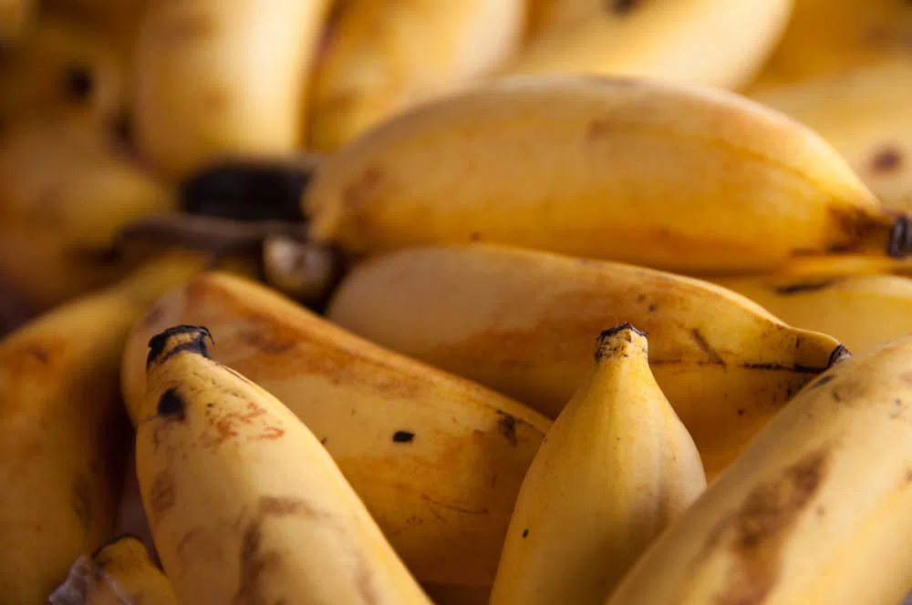 Why Eating A Banana Before Bed Is Beneficial