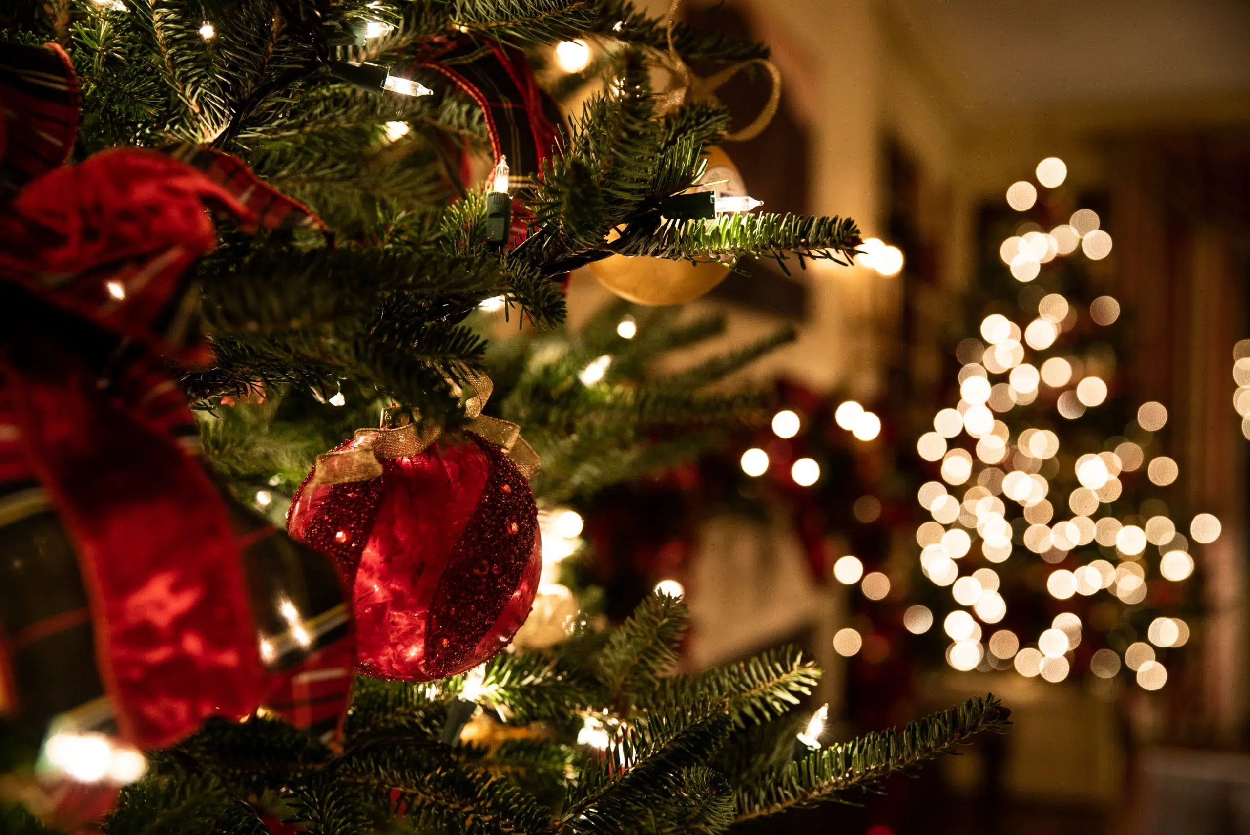 Your Christmas Tree Could Be Messing With Your Wifi