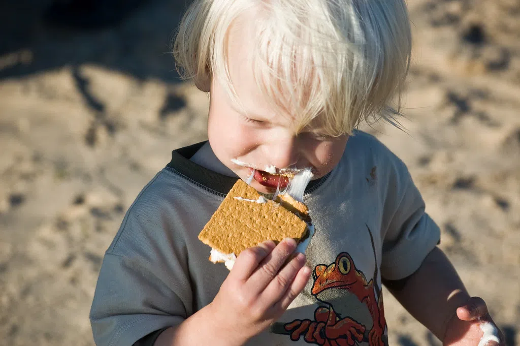 Who invented S'mores?