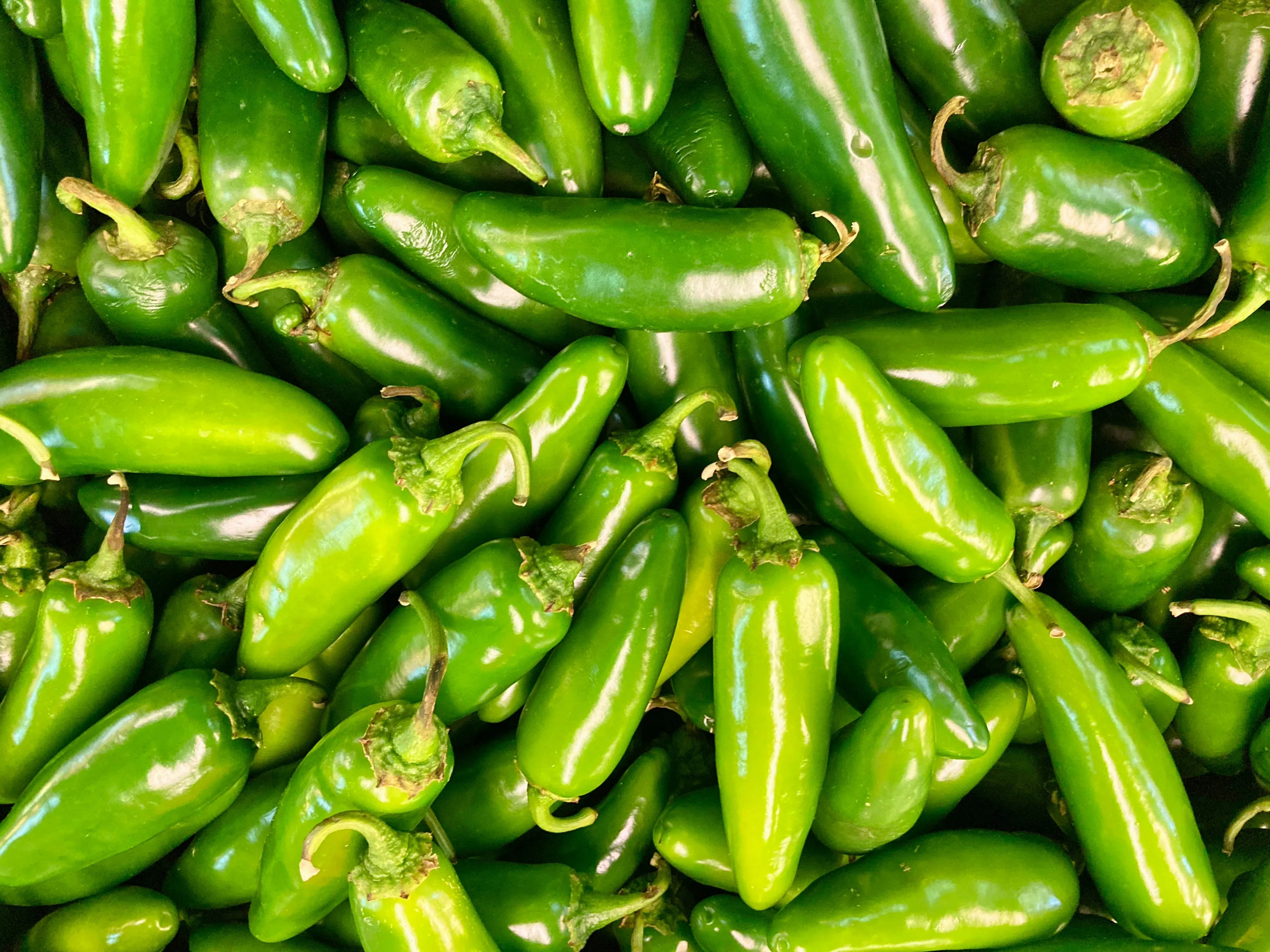 Jalapeños Are Bland Now and Spice Fans Aren't Happy