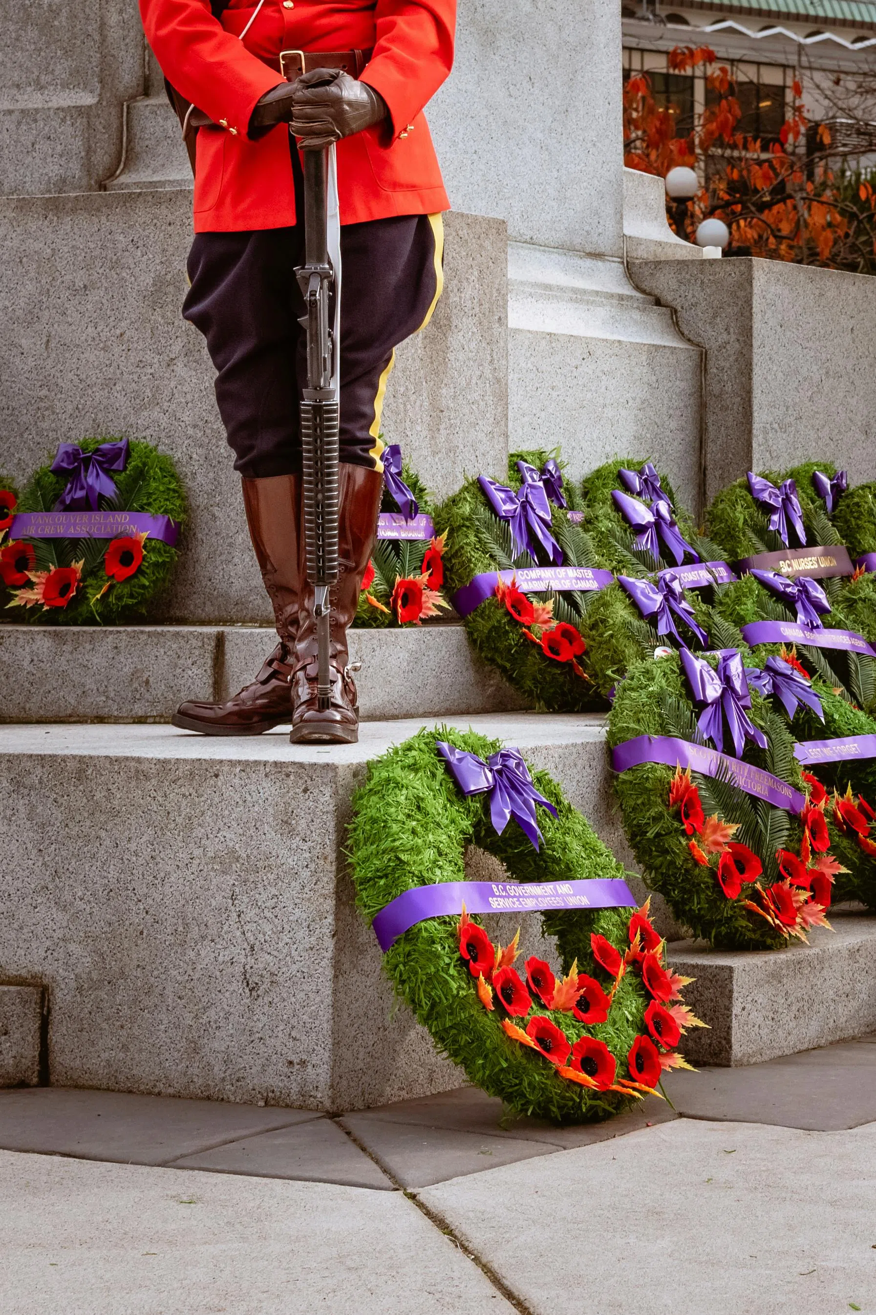 Remembrance Day: Honoring their service with understanding, with Dr Julie Gowthorpe, RSW