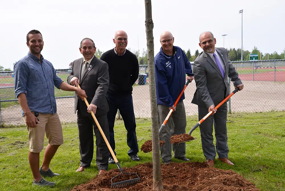 New trees planted at Mary-Anne Sills Park