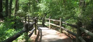 Upcoming seasonal trail closures in Northumberland County Forest