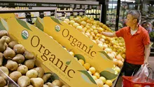 Organic food's health benefits questioned in U.S. study