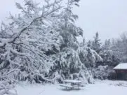 A record snowfall