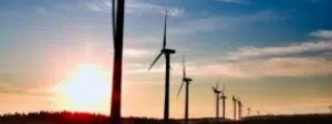 Environmental Tribunal done with turbine issue