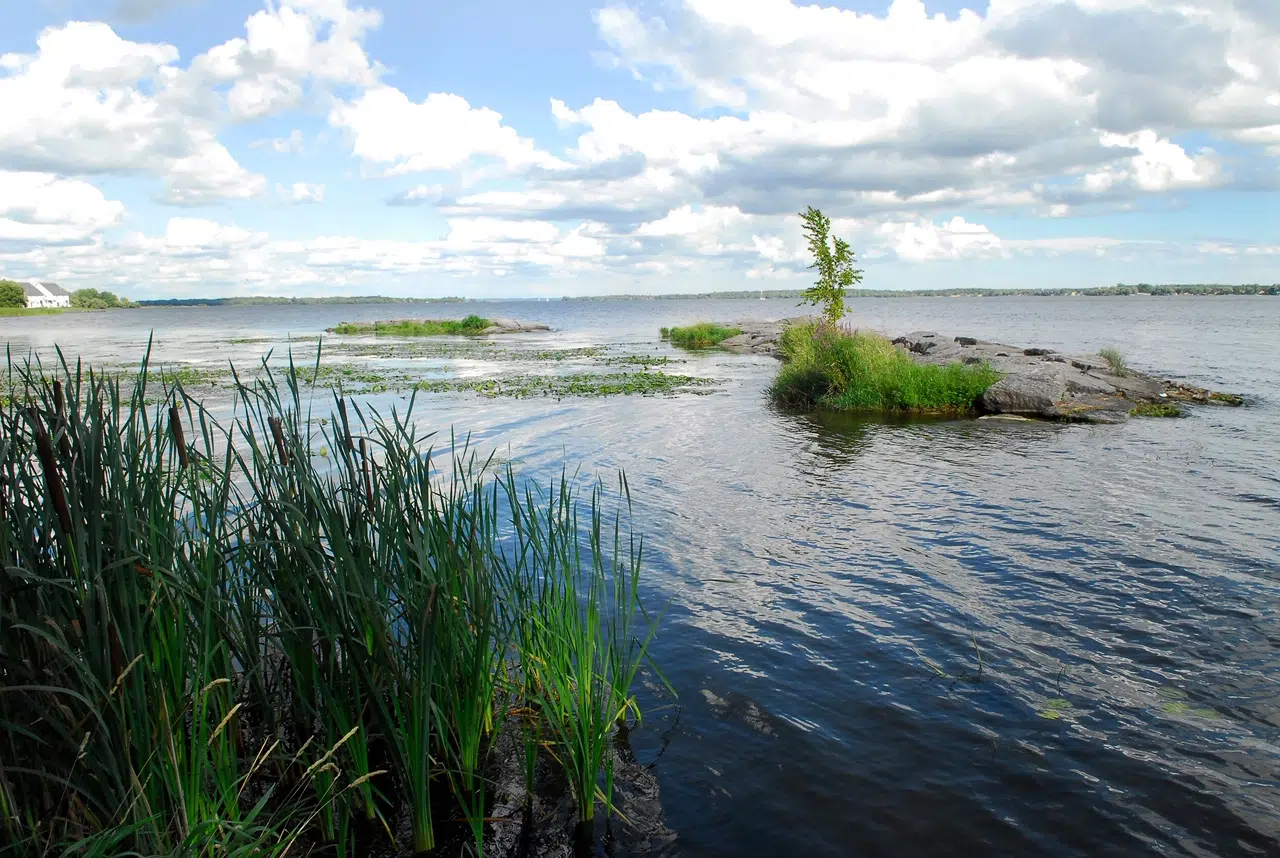 Ontario supporting local projects to protect the Great Lakes