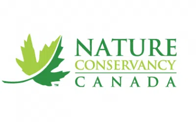 Key wetland north of Napanee protected