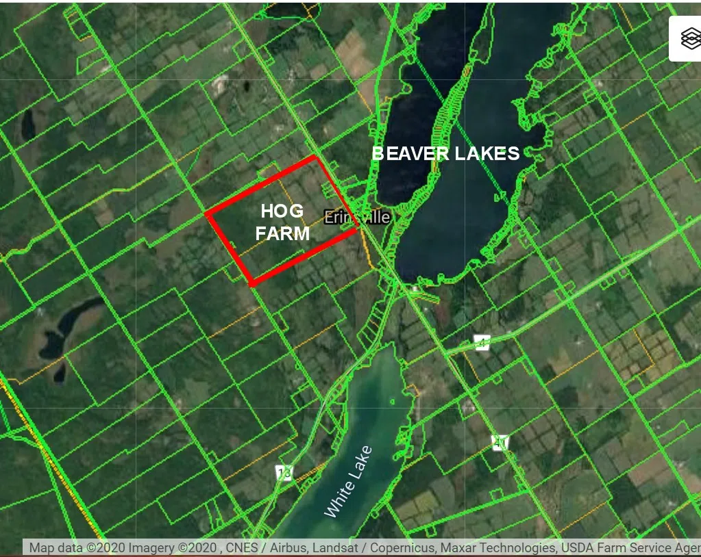 Hog farm moving forward