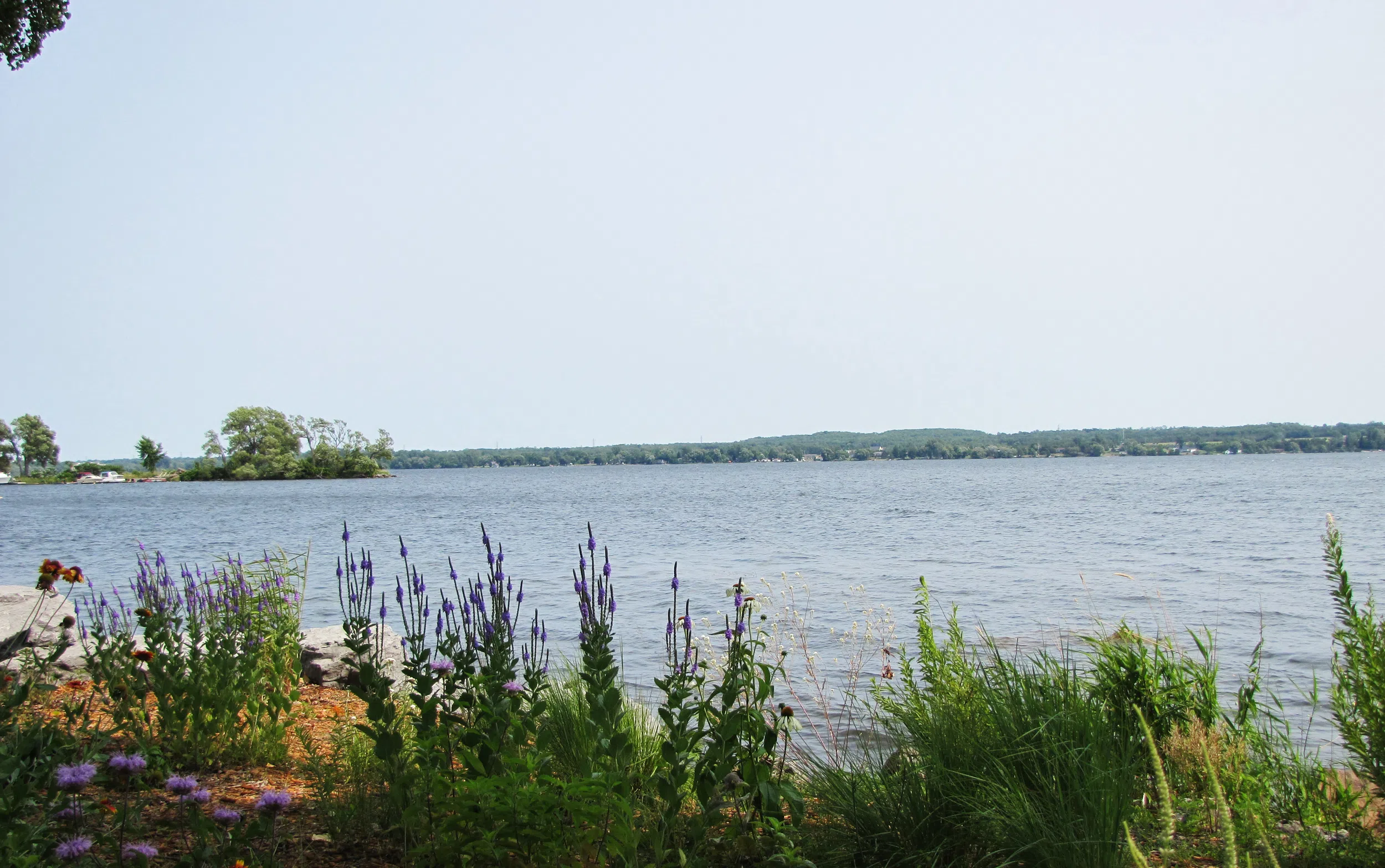 Another water quality challenge restored