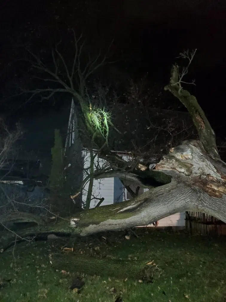 Wind storm knocks out power, takes down trees and poles