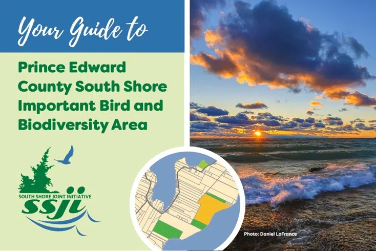 Learn more about South Shore Joint Initiative