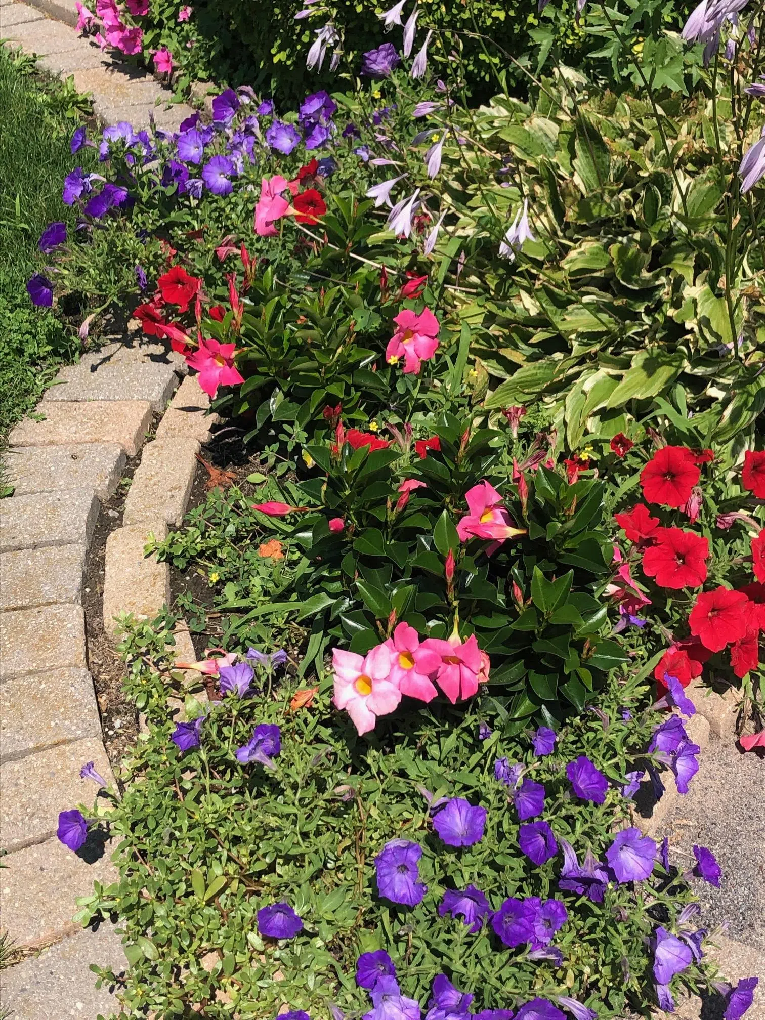 Creating gardens at Tweed Post office