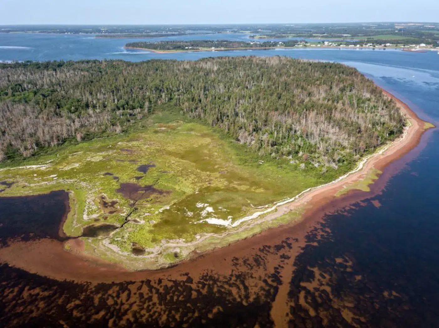 Undeveloped island to be turned into nature preserve