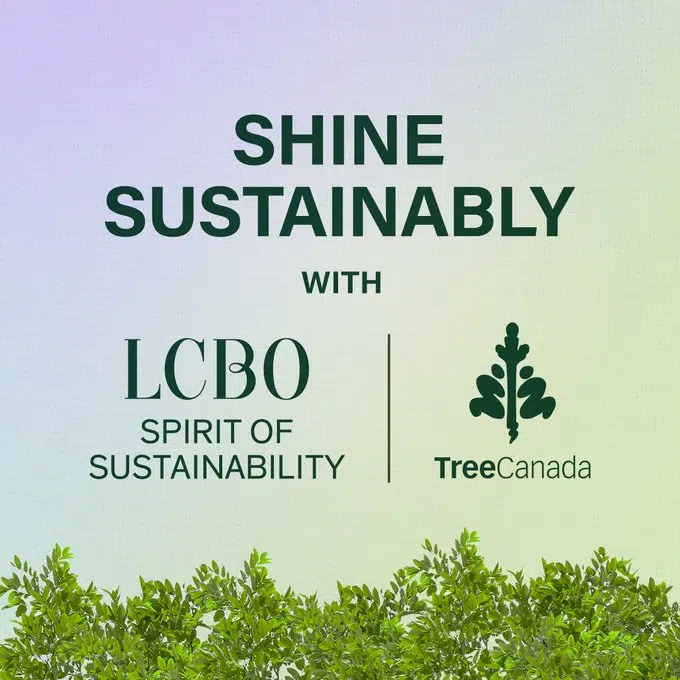 No more paper bags at the LCBO
