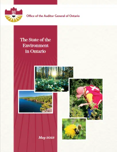 Ontario environment report: situation improving but concerns remain