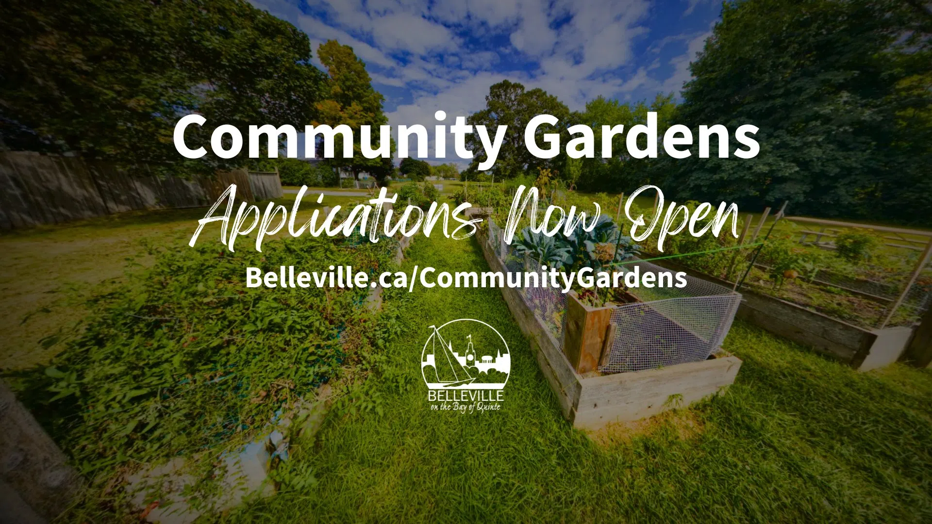 Belleville Community Garden applications open