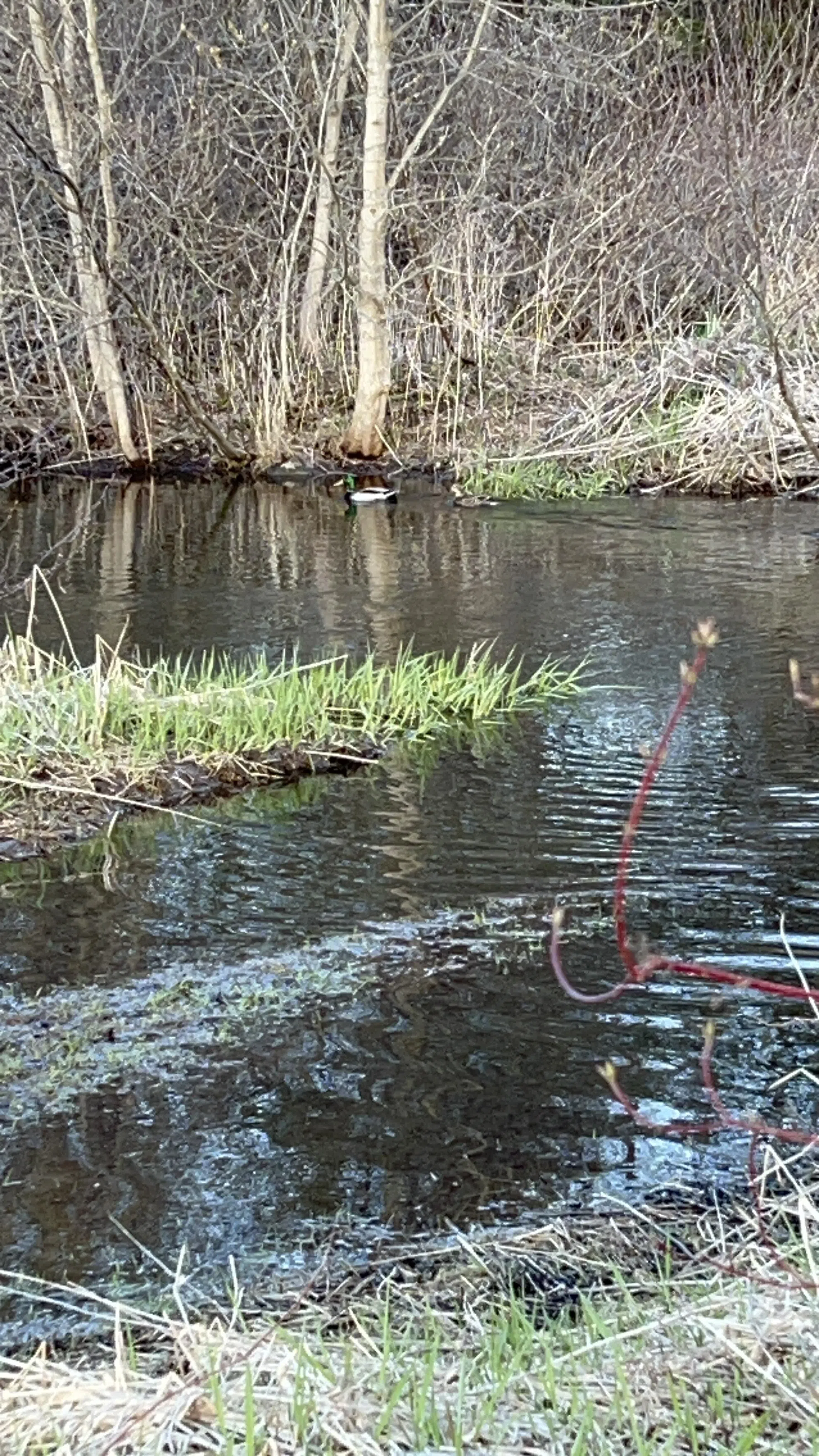 Canadian Environment Week June 2-8