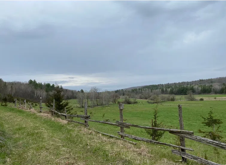 New nature reserve in Campbellford area