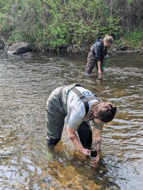 Lower Trent Conservation Launches Watershed Health and Brook Trout Monitoring Initiative