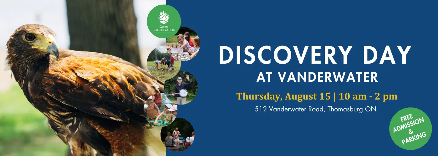 Discovery Day at Vanderwater Conservation Area August 15