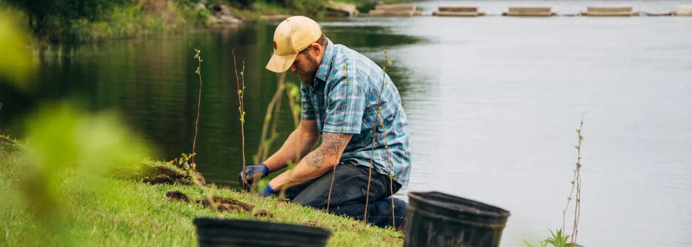 Shoreline naturalization incentives from Quinte Conservation