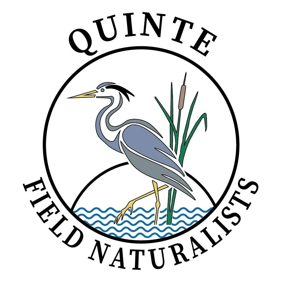 Quinte Field Naturalists Annual General Meeting features SSJI vice-president