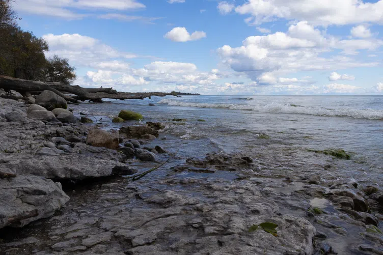 Prince Edward County family donates Lake Ontario shoreline lands for conservation