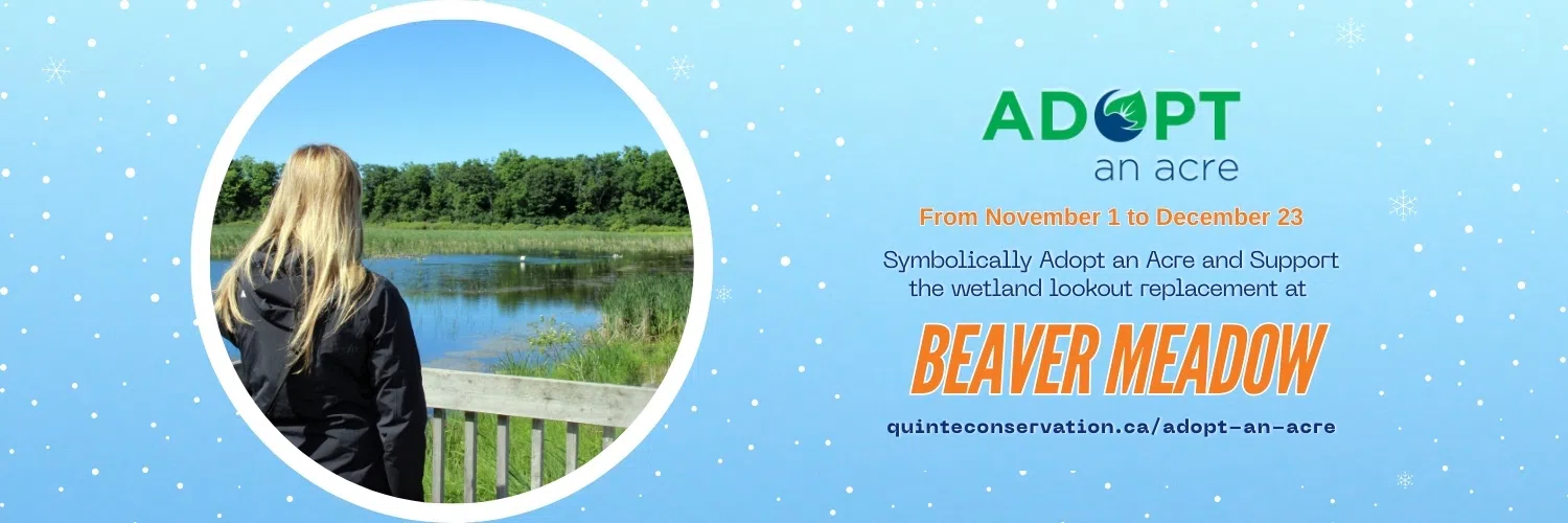 Adopt An Acre campaign to support Beaver Meadow Conservation Area