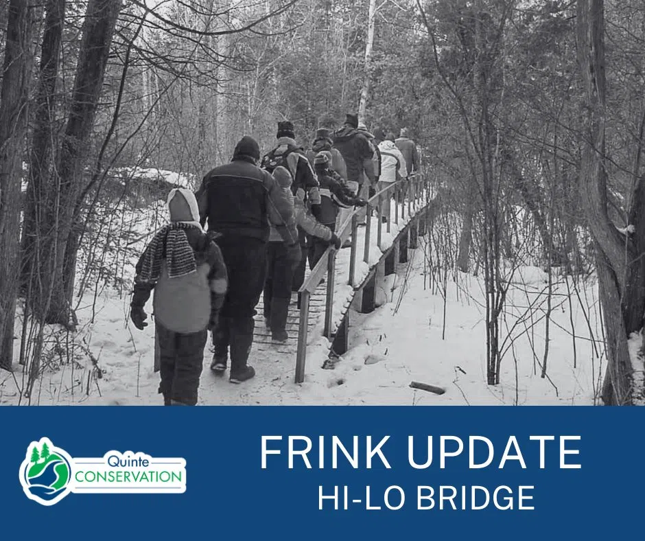 Replacing the Hi-Lo Bridge at Frink Centre