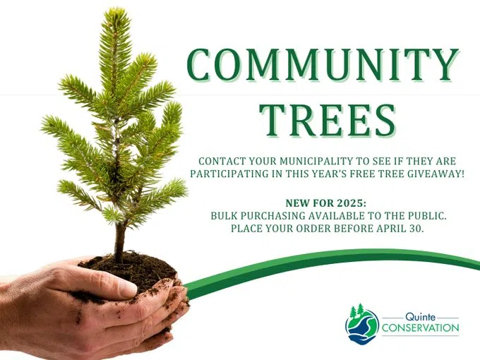 Community Trees events this weekend