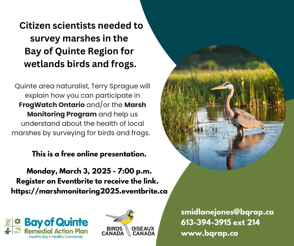 BQRAP looking for volunteers to collect wetland data