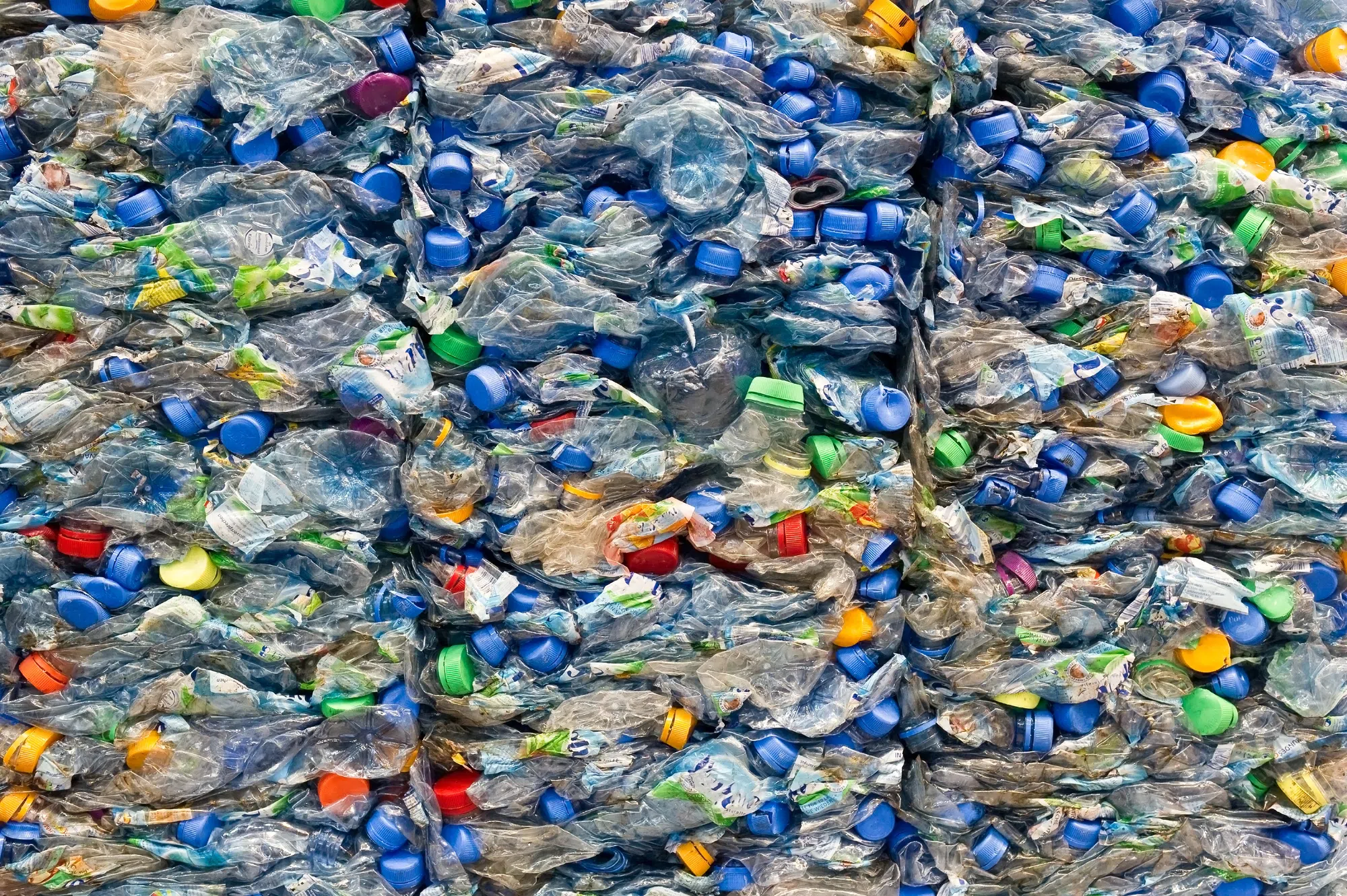 Canadian Environment Week 2025